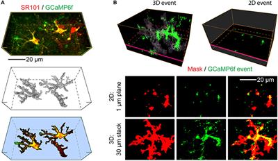 Studying Axon-Astrocyte Functional Interactions by 3D Two-Photon Ca2+ Imaging: A Practical Guide to Experiments and “Big Data” Analysis